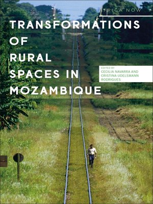 cover image of Transformations of Rural Spaces in Mozambique